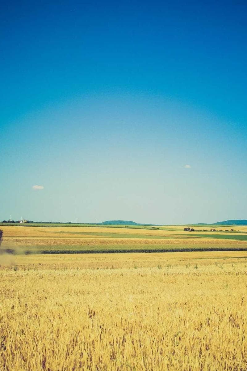 Фото Елизавета